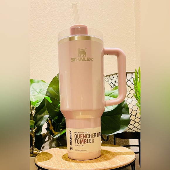 Aster Stanley Tumbler 40oz. Target June 2024 Collection - Picture 9 of 14